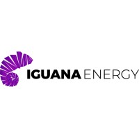Iguana Energy Group logo - Similar company to Arc Risk Group