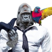 New Web Technology GmbH logo - Similar company to Kongs Digital