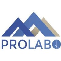 Proveedora de Laboratorios del Noroeste logo - Similar company to Mayran Castings