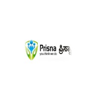 Prisna Outsourcing logo - Similar company to Yashmit Human Resource Management Services