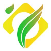 Jaxindo Digital Agency logo - Similar company to R17 Group