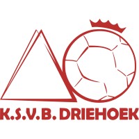 KSVB Driehoek logo - Similar company to Centracar