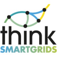 Think Smartgrids logo - Similar company to Ignes - Industriels Des Solutions Électriques Et Numériques Du Bâtiment