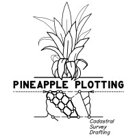 Pineapple Plotting logo - Similar company to Magellan Space