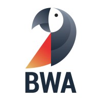 BrandWise Advice logo - Similar company to Eilham Enterprises
