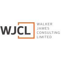 Walker James Consulting Ltd logo - Similar company to Vectra Security Solutions Ltd