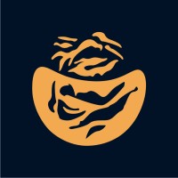 Studio Baagh logo - Similar company to Designgild