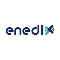 Enedix logo - Similar company to Cynapsys Technologies