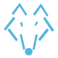 BlueFox Systems logo - Similar company to Srv Infotech