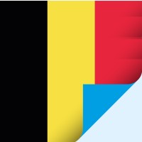 Fespa Belgium logo - Similar company to Febelgra