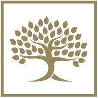 Nevé Capital Limited logo - Similar company to Cjs Ventures