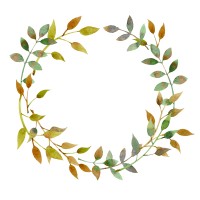 Paideia Academics logo - Similar company to Fraternus