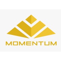 Momentum Tech & Business Consultancy logo - Similar company to Invent Next It Solutions