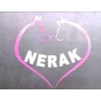 Veterinaria NERAK logo - Similar company to Hakunamatata64