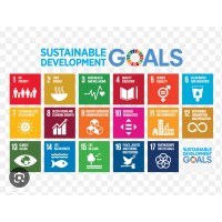 Empower Rural Zambia Initiative logo - Similar company to E-Solar Tech Zambia