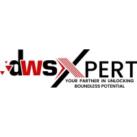 DWSXpert logo - Similar company to Fintechx Technology Solutions
