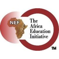 THE AFRICA EDUCATION INITIATIVE (NEF CLUB) UNIVERSITY OF ABUJA logo - Similar company to Eafoundation