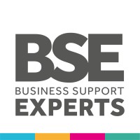 BSE - Business Support Experts logo - Similar company to Counting King | Tax Incentives & Funding House
