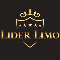 Lider Limo doo logo - Similar company to Condosigns