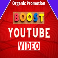 Youtube Video Promotion logo - Similar company to Https://Youtube.Com/@Life_With_Nasir