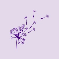 Blossom Educação Executiva logo - Similar company to Conagp