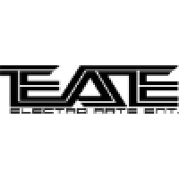 Electro Arts Enterprises, Inc. logo - Similar company to Blooni Designs & Contracting