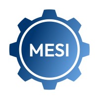 MESI GROUP logo - Similar company to Mesi Group