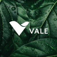 Vale logo - Similar company to Anglo American