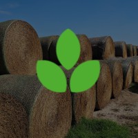 Ami Argenmixes logo - Similar company to Abastecimientos S.A.