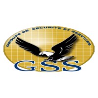 GSS | Groupe Sécurité et Services logo - Similar company to Net Skill Group