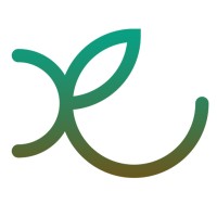 Radical Roots logo - Similar company to Studio Open View