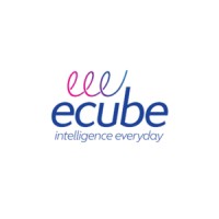 Ecube Integrated Solutions logo - Similar company to E Cube, Inc