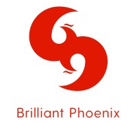 Brilliant Phoenix Group logo - Similar company to Hallidai