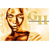 Golden Ice Images | Content Discovery Company logo - Similar company to Topa Netvertising