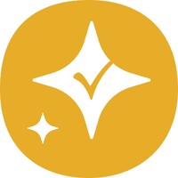 True Blue Star logo - Similar company to Dr King Solutions