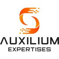 AUXILIUM logo - Similar company to Digikaizen
