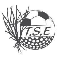 TSE Sport logo - Similar company to Step Service De Santé Au Travail Des Entrepreneurs Par La Prévention