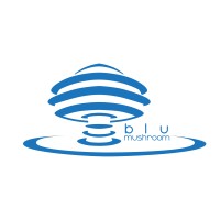 BluMushroom logo - Similar company to Animation Nation