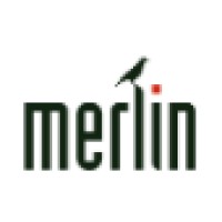 Merlin logo - Similar company to Quantico