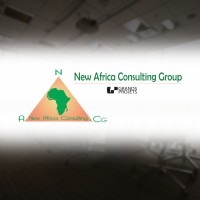 New Africa Consulting Group logo - Similar company to Senagriculture