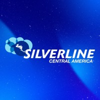 Silverline Central America logo - Similar company to Silverline
