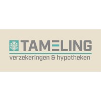Tameling Verzekeringen & Hypotheken logo - Similar company to Personal Wealth