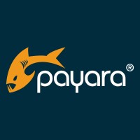 Payara logo - Similar company to Microprofile