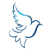 Dove Healthcare logo - Similar company to Dove It Services