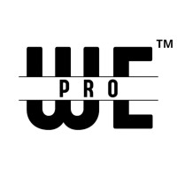 WePro™ Store logo - Similar company to One T Digitals