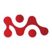 Magestix Solutions logo - Similar company to Blendus Studio