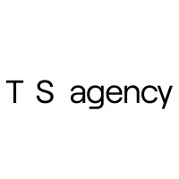 T S agency logo - Similar company to Effect Talent Management