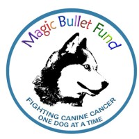 Magic Bullet Fund