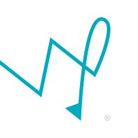 wybie studio logo - Similar company to Octoboard - Cloud Data & Ai For Your Business