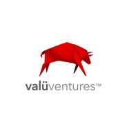 Valu Ventures Inc. logo - Similar company to Select Ventures